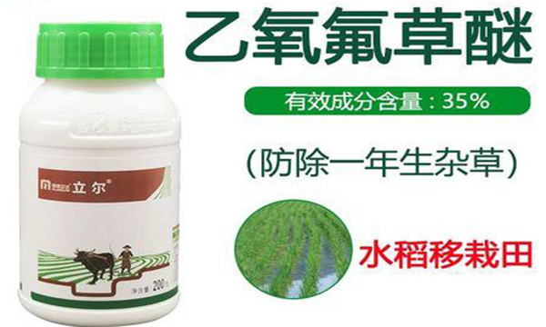 乙氧氟草醚除草剂使用范围和使用方法