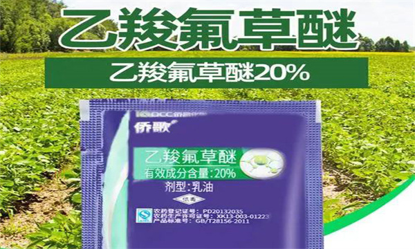 乙羧氟草醚的使用范围与注意事项