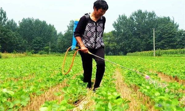 乳氟禾草灵的使用方法