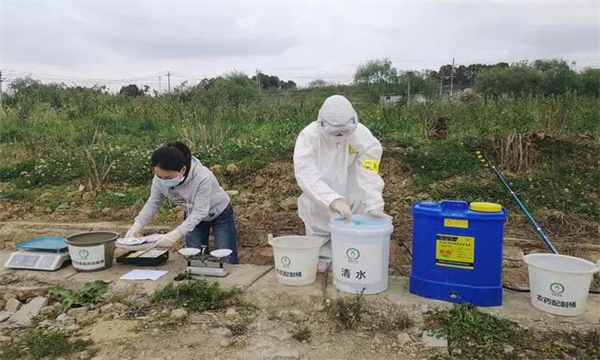 如何选择和安全使用农药？