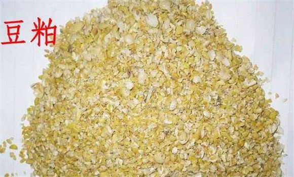 养鱼常用的蛋白质饲料有哪些？