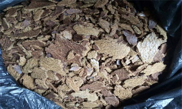 养鱼常用的蛋白质饲料有哪些？