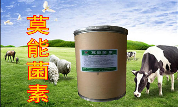 常见的肉牛饲料添加剂有哪些