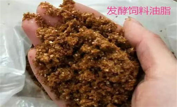饲料中添加油脂有什么作用 饲料添加油脂的方法