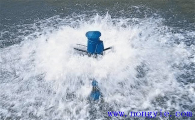 增氧机每天开多长时间合适 增氧机的种类及原理