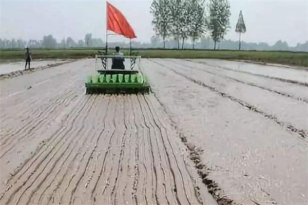 水稻直播的优点在哪里 水稻直播有什么好处?
