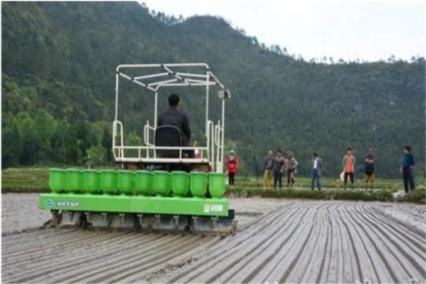 水稻直播的优点在哪里 水稻直播有什么好处?