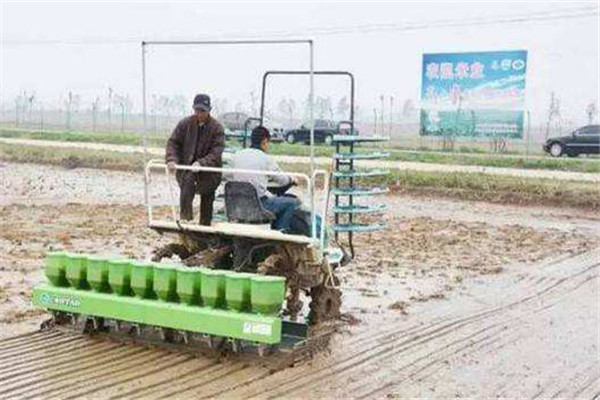 水稻直播的优点在哪里 水稻直播有什么好处?
