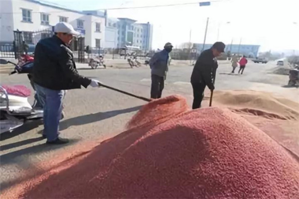 小麦种子处理有哪几种方法?处理后有什么好处