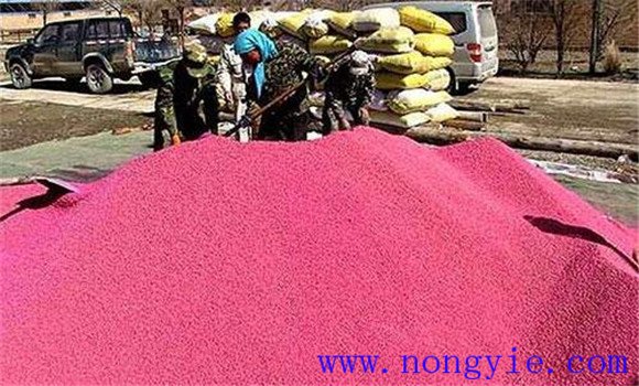 药剂拌种防治多种小麦病虫害的方法与技术措施