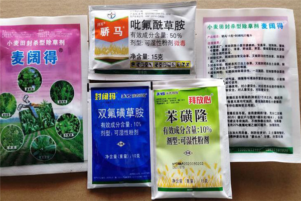 小麦田除草剂有哪些 小麦使用除草剂要注意什么