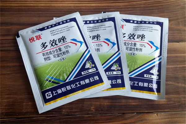 小麦旺长怎么控制，打什么药最好？