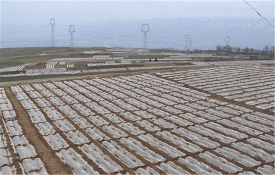 地膜覆盖玉米栽培技术的关键措施有哪些?