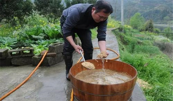 玉米种子处理技术一般包括哪几种