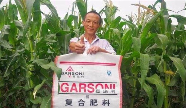 玉米基肥比例多少好，玉米基肥施多少合适？