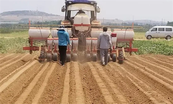什么是玉米精量播种机械化技术 具体有哪些要求