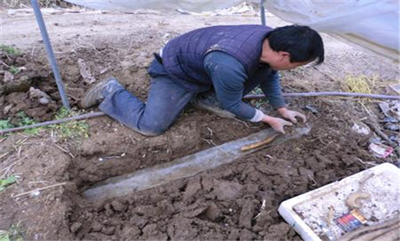 山药播种是什么时候 山药的种植方法与技术要点
