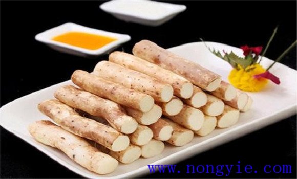 铁棍山药哪里产的最正宗 铁棍山药的功效与作用