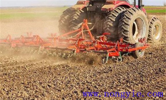 旱地绿豆栽培技术 绿豆地膜覆盖高产栽培方法 旱地绿豆栽培技术 绿豆地膜覆盖高产栽培方法