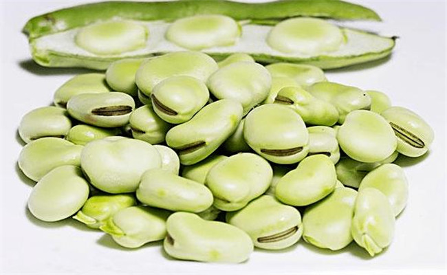 蚕豆的营养价值有哪些？蚕豆的保健功效简介