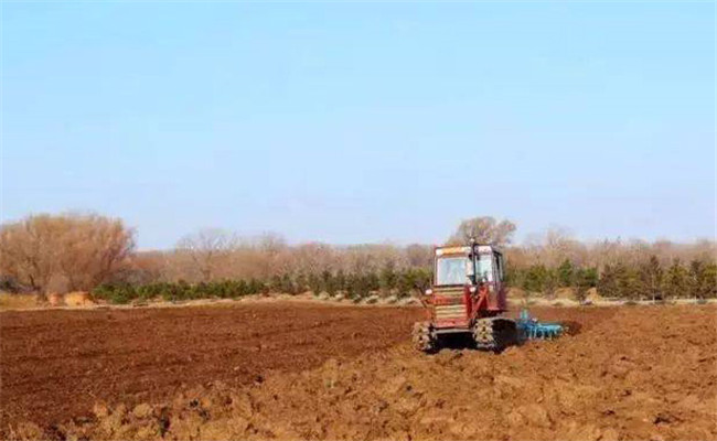 高粱耕作与种植技术 高粱耕作与种植技术