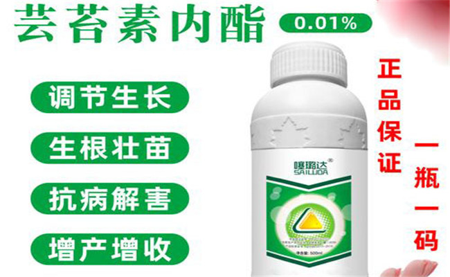 黄瓜有哪些生长调节剂 黄瓜如何使用生长调节剂