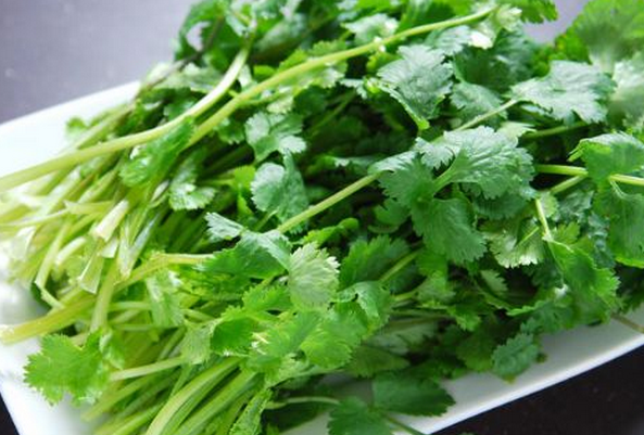 香菜的实用功效有哪些 香菜的功效与作用