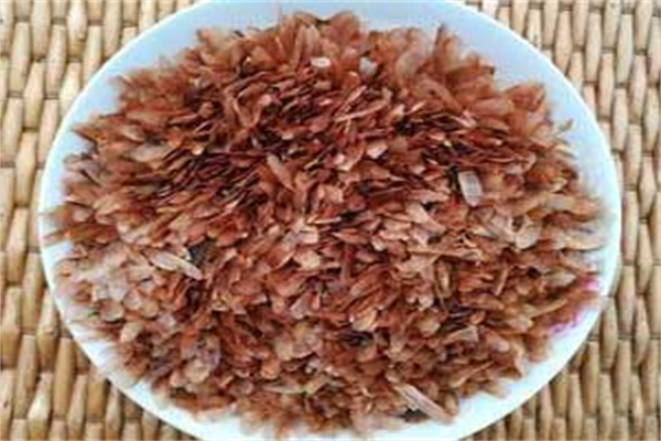 香椿种子多少钱一斤，什么时候种怎么种植？