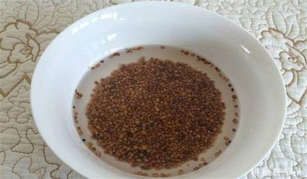 怎样进行辣椒种子消毒和浸种催芽?