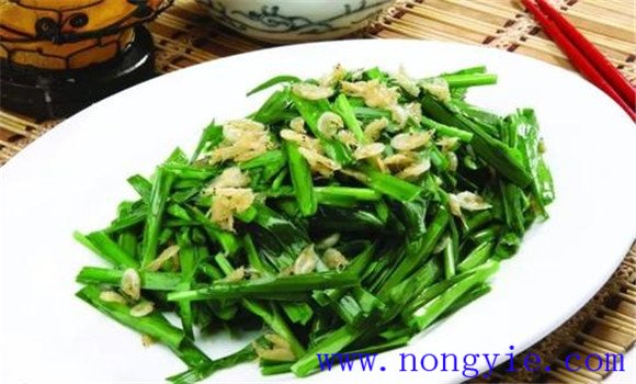 韭菜的功效与作用 韭菜的食疗功效