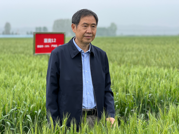 康振生院士荣获陕西省最高科学技术奖