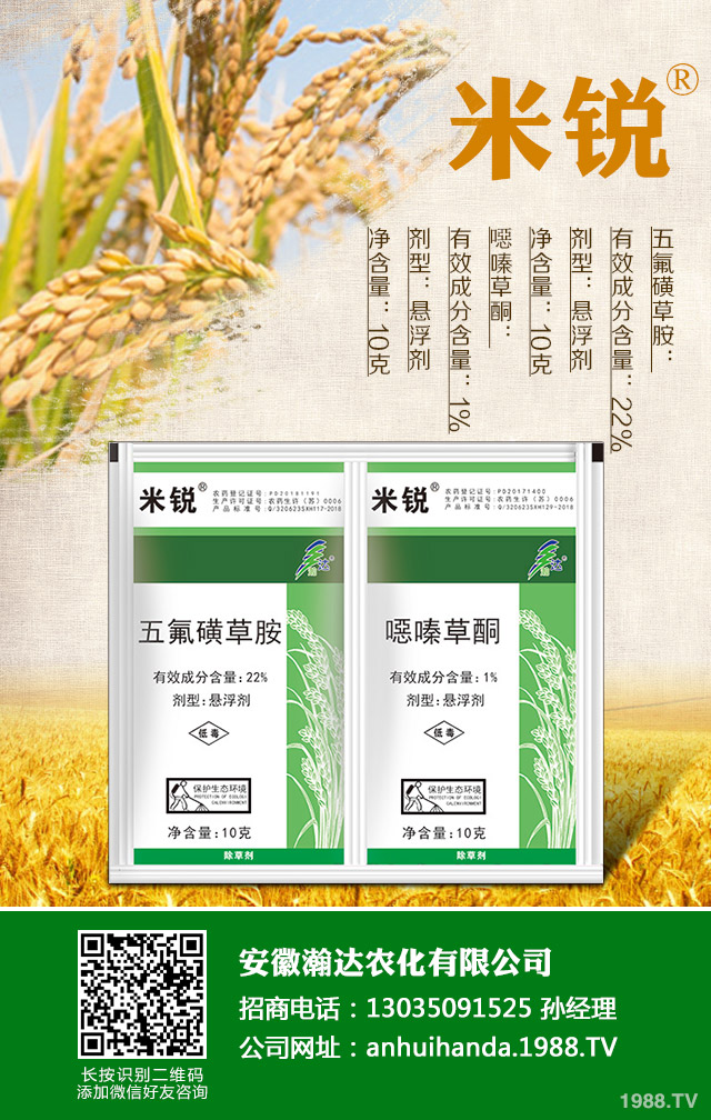 水稻田除草剂怎么选？水稻田除草剂选用技巧