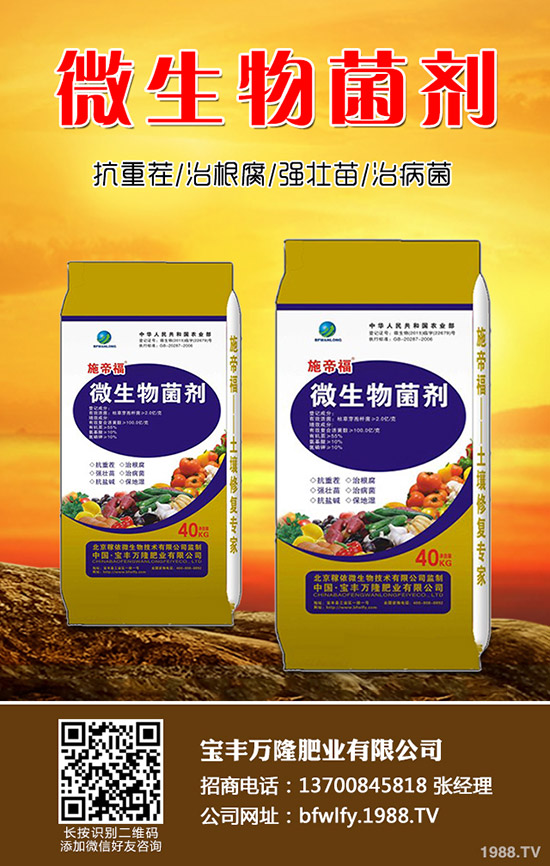 花生什么时候种植，花生播种技术要点总结