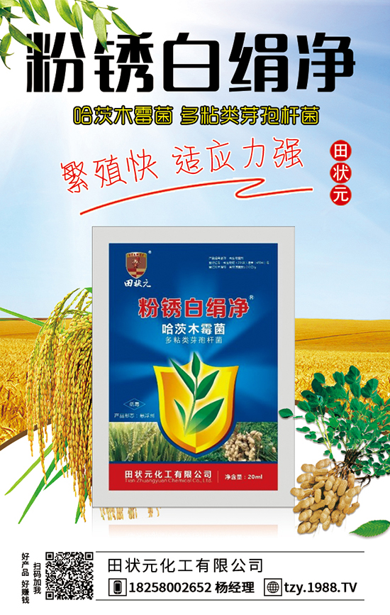 乙草胺使用方法 影响乙草胺因素