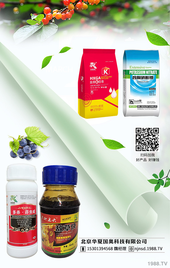 防治蚜虫 防治蚜虫药