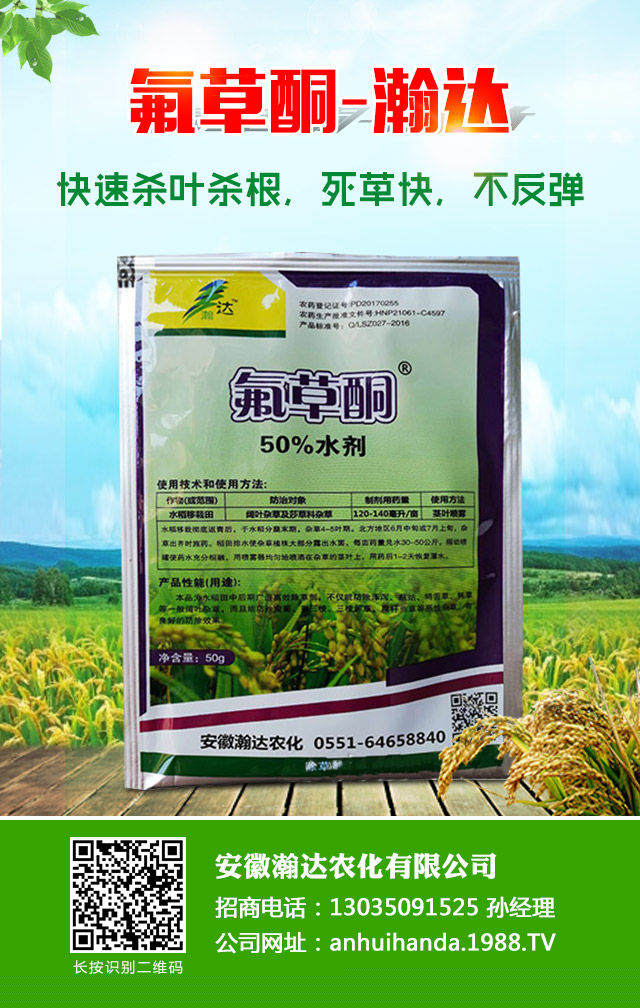 水稻青苔怎么办?水稻青苔防治方法