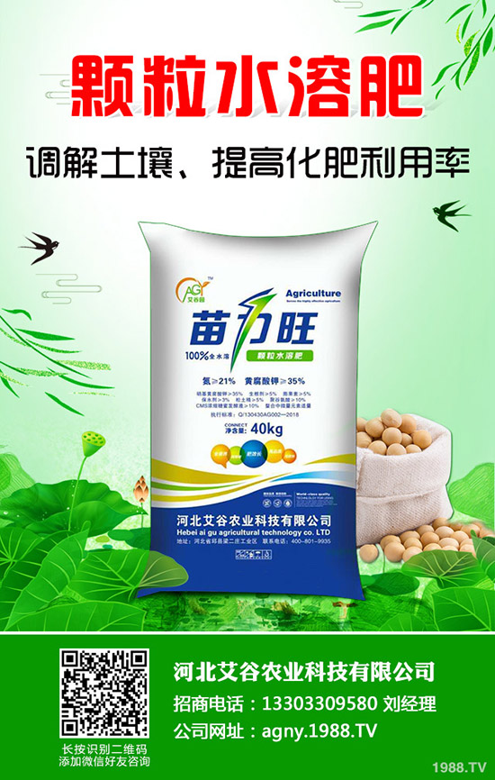 小麦施肥特点及规律决定一季施几次肥