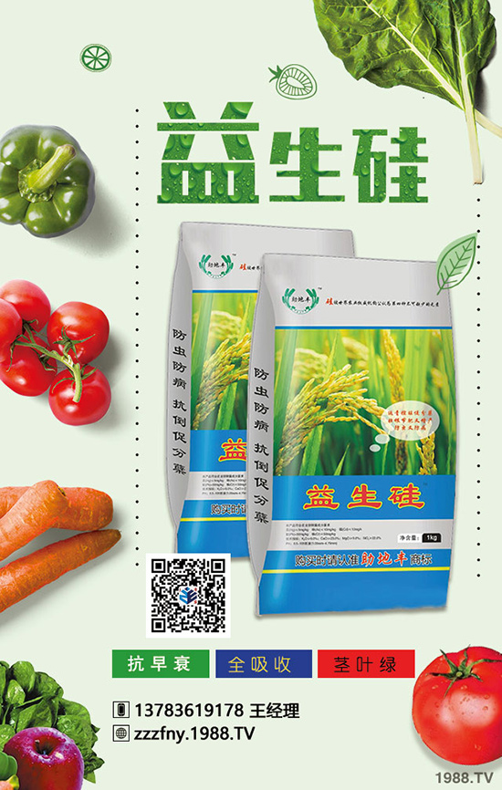 蚕豆施肥有方法，增产增收不在怕！