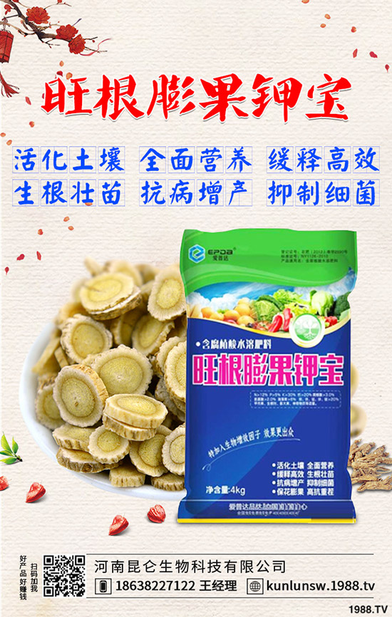 高粱什么时候种植，高粱田间管理技术有哪些？