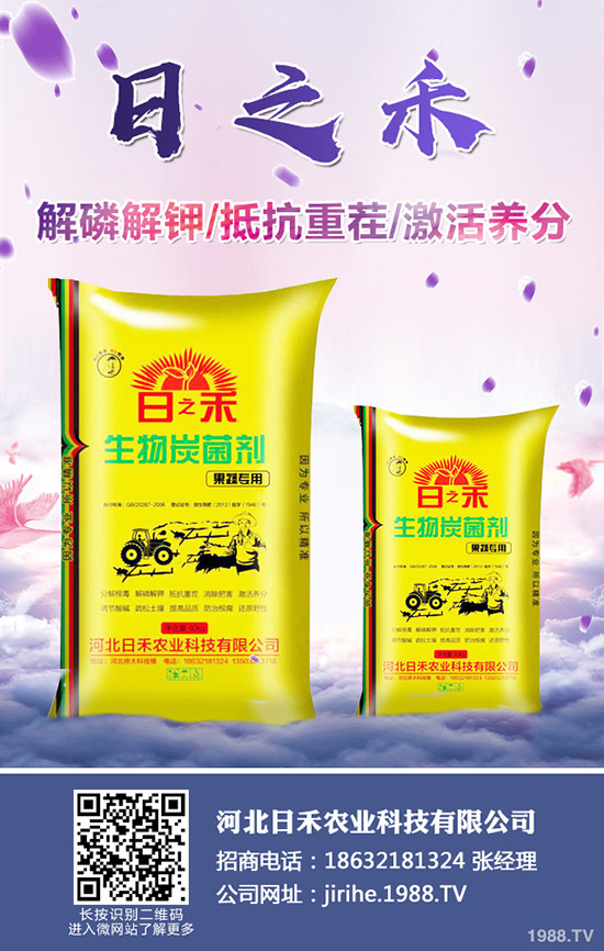 2019小麦什么时候种植,小麦种植注意要点!