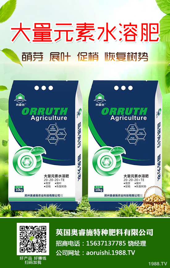 黑玉米如何种植？黑玉米的高产栽培技术