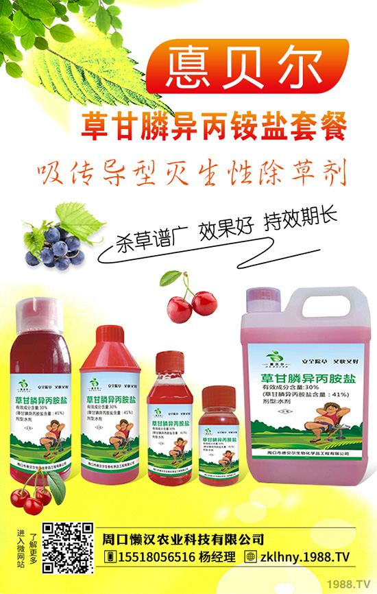 小麦除草剂使用时间