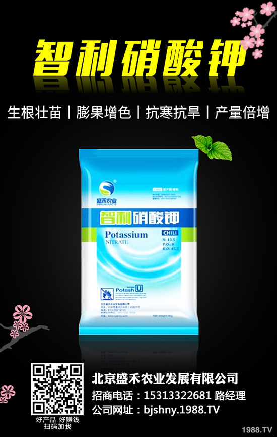 黑豆什么时候种植,黑豆的种植要点有哪些?