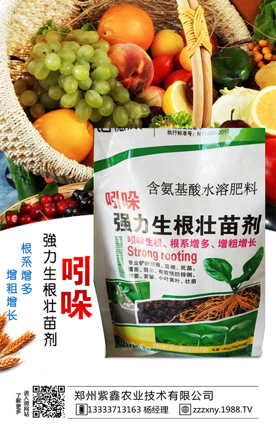 春芝麻种植时间是什么时候吗？春芝麻种植管理技术！