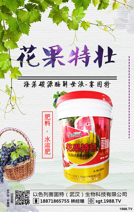 蚕豆怎样种植才能高产,蚕豆的种植时间和方法!