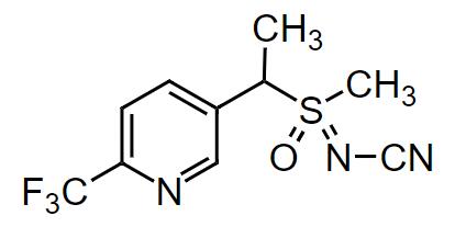 新型杀虫剂氟啶虫胺腈的研发进展