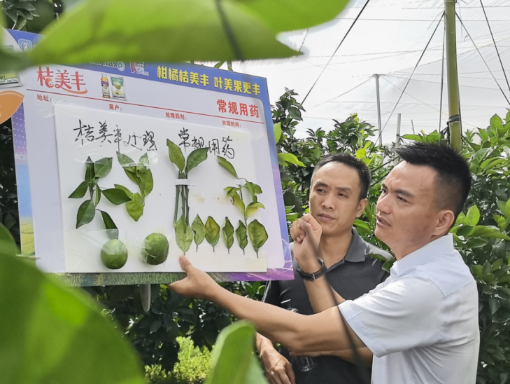 纳米农药中的顶流！柑橘砂皮病防控迎来重磅升级