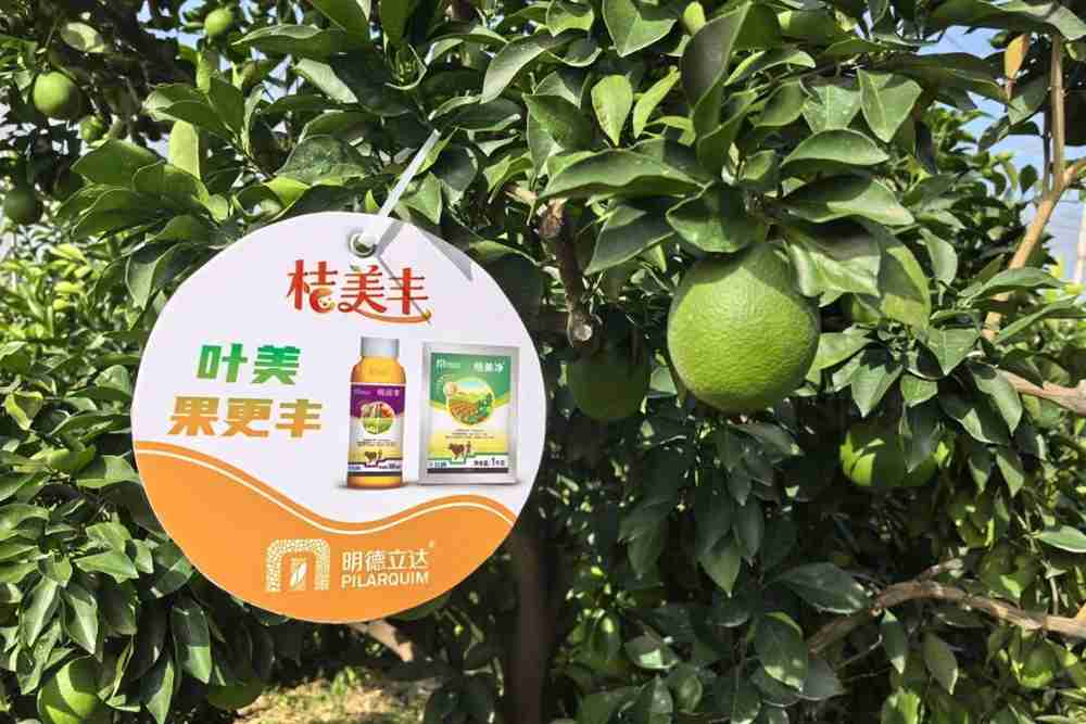 两大纳米产品联袂赋能，明德立达方案全新升级