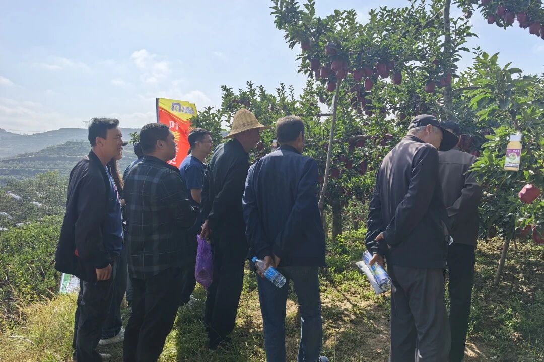 明德立达持续注入科技力量，明润丰®十年守护见真章