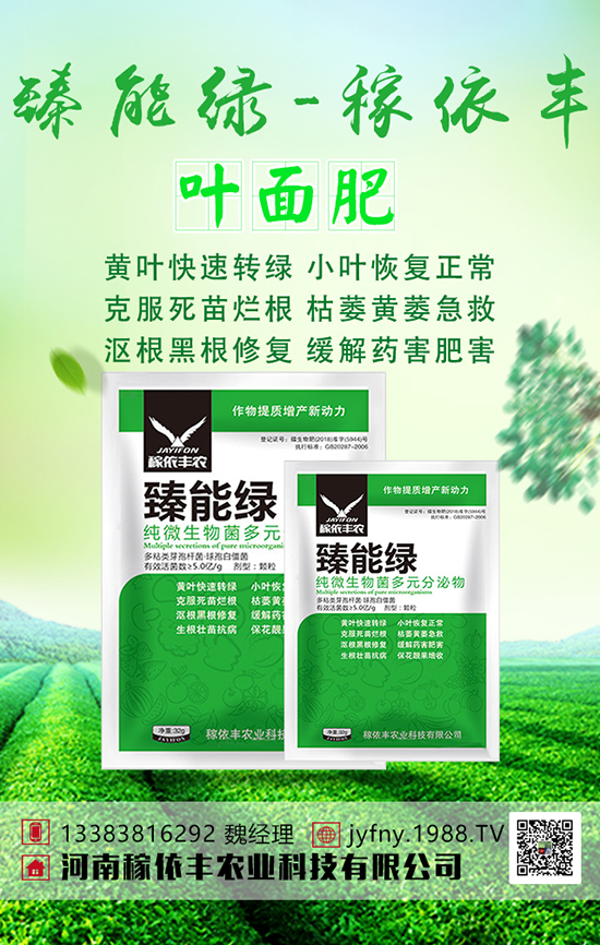 绿豆想高产,绿豆科学上肥技术大家要清楚!